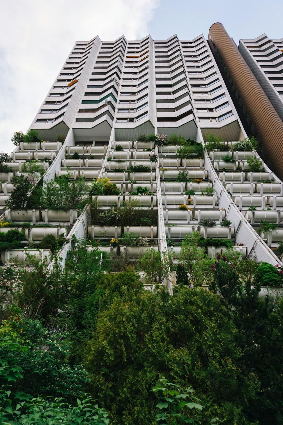 Multi-family Housing