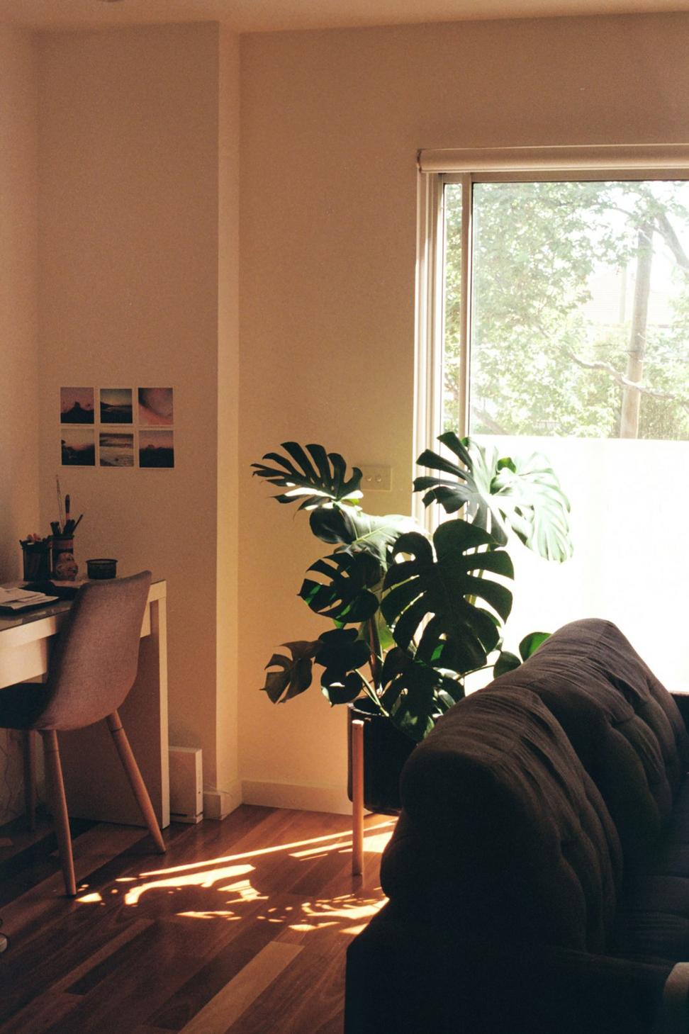 Eco Home Design