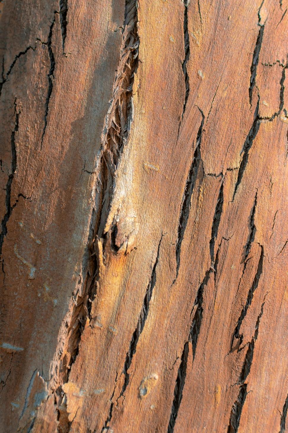 Mass Timber