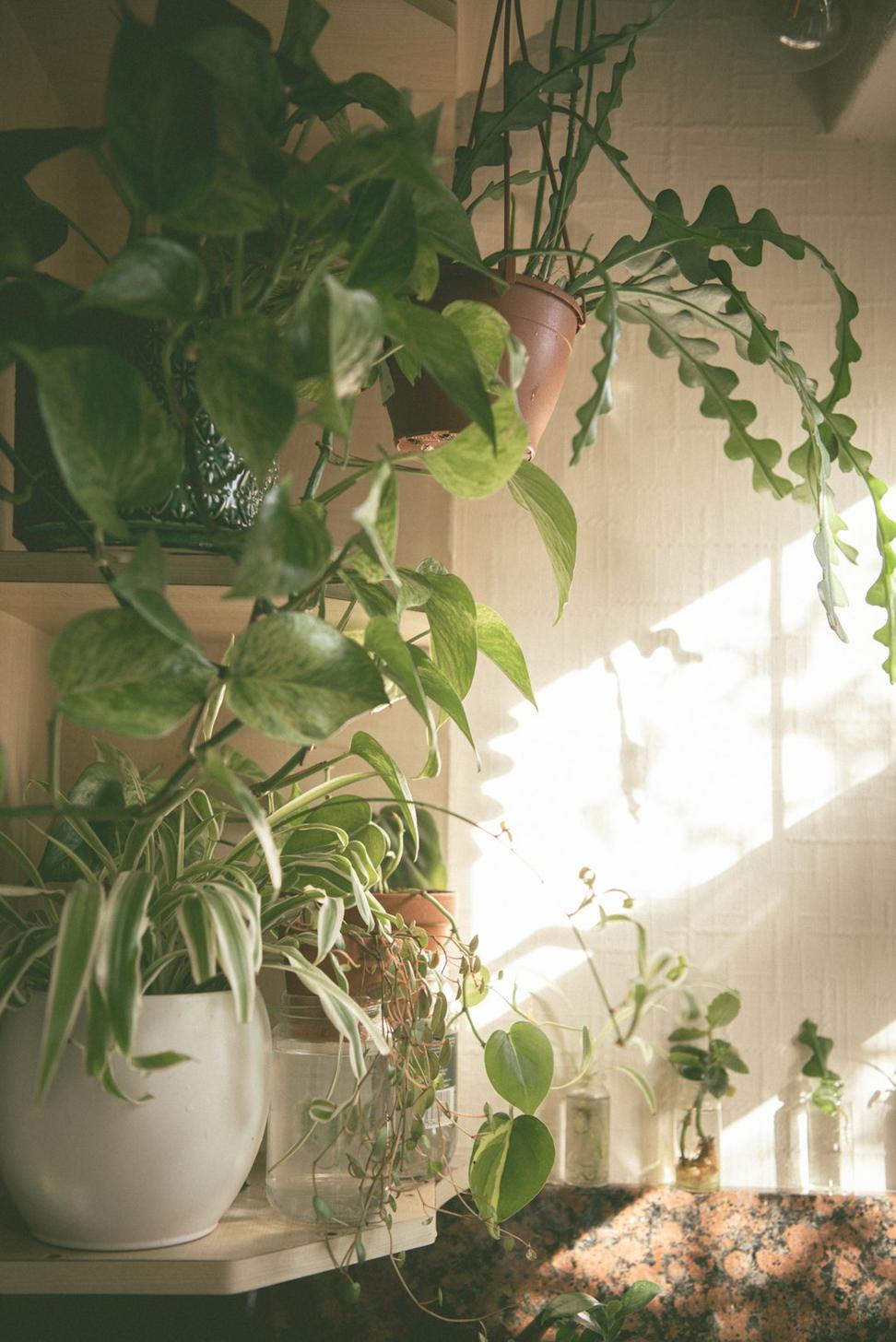 Sustainable Design